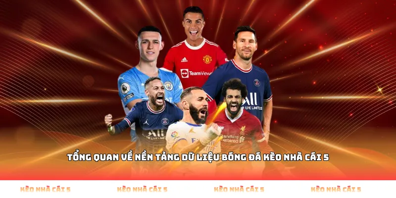 Tổng quan về nền tảng dữ liệu bóng đá Kèo Nhà Cái 5