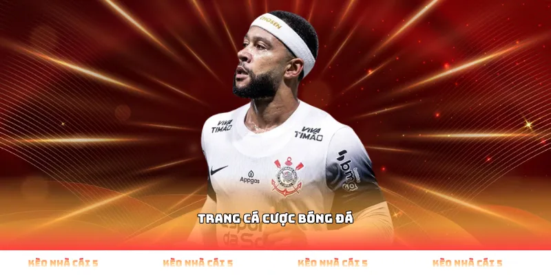 Trang cá cược bóng đá